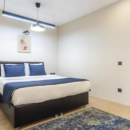 The Business Class Karakoy 3* Istanboel