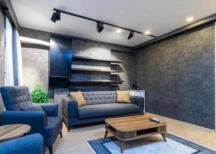 The Business Class Karakoy Apart Otel 3*